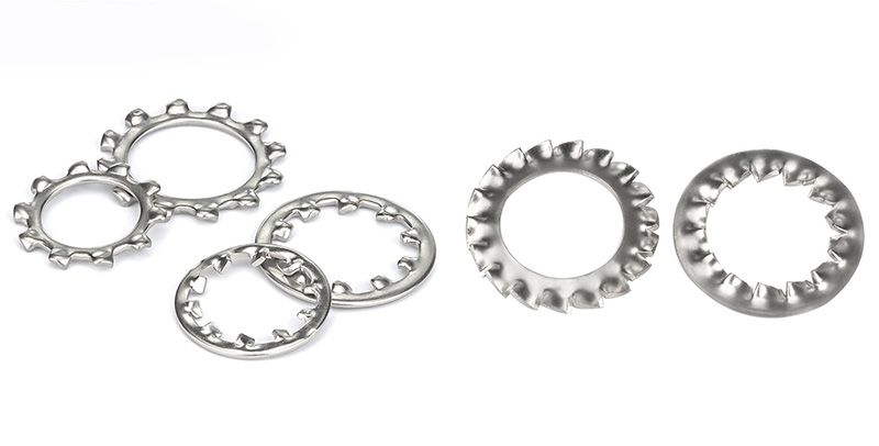 External Tooth Lock Washer