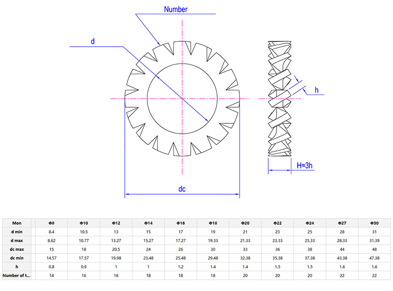 External Tooth Lock Washer