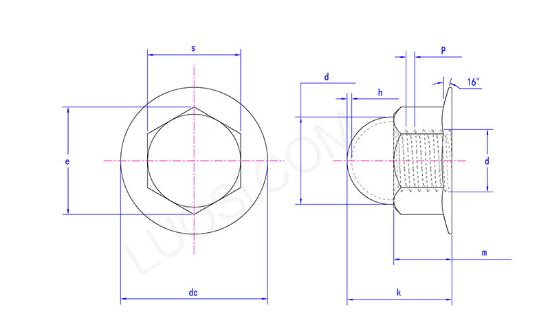 Hex Flange Acorn Nut