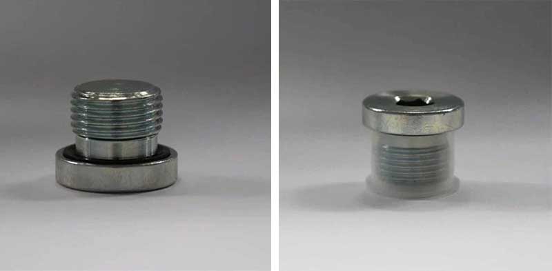 BSP Male Captive Seal Hollow Plug